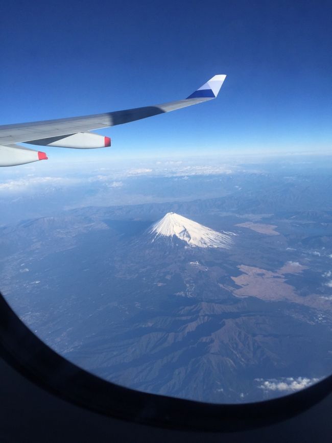 機内からは富士山が良く見えました*\(^o^)/*<br />息子も大興奮！