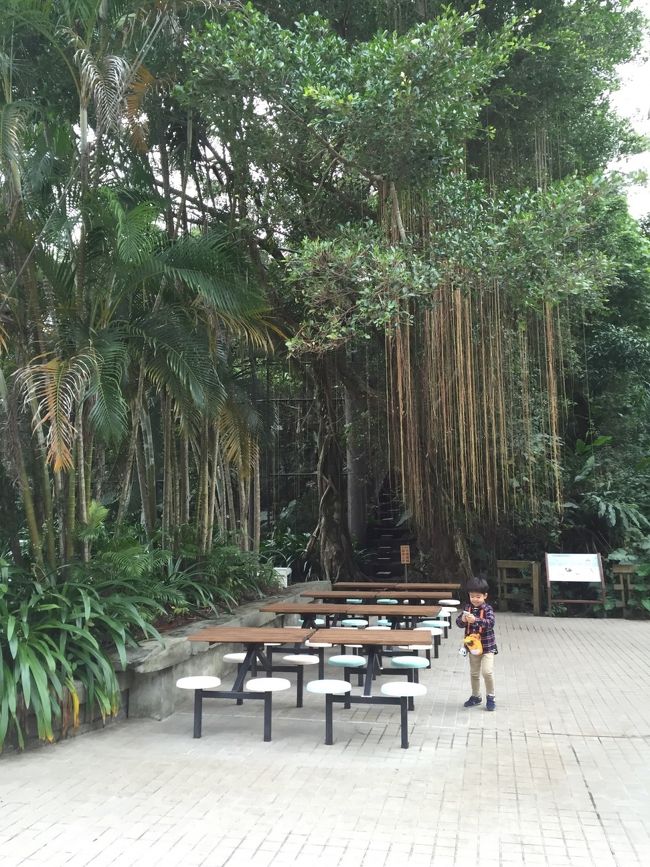 鳥のところにて。