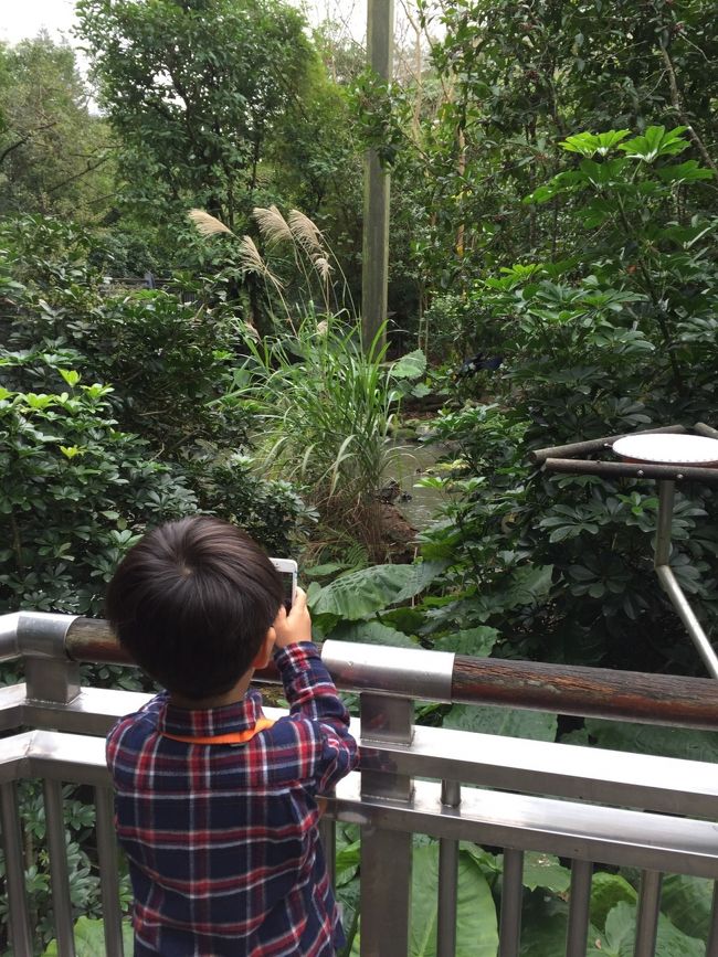 鳥を撮ってるんだって。どこにいるの、鳥？w