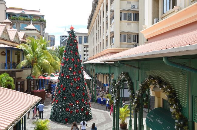 このクリスマスツリーは夜とか綺麗そうですね