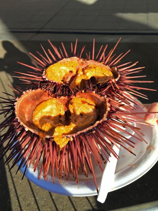 美味しいモノ 美味しいコト いっぱいのサンディエゴ Tomaike家的過ごし方 Vol 2 サンディエゴdeうに 雲丹 ウニ 編 サンディエゴ アメリカ の旅行記 ブログ By Tomaikeさん フォートラベル
