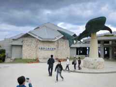 美ら海水族館

開館時間(8:30)に合わせて行った方が混まなくて良いですよと、アドバイスされて向かいました。渋滞もなくホテルから1時間弱で着けました。