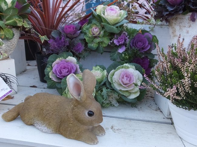 午後は3時半〜となっていましたが、3時には到着してゲートに向かいました。<br />まだ早いかな？と思いましたが正解(・∀・)<br /><br />私たちがゲートに向かって歩いている頃からすでに混雑し始めていました。<br /><br />入場券売り場の横にうさぎ(^-^)<br /><br />