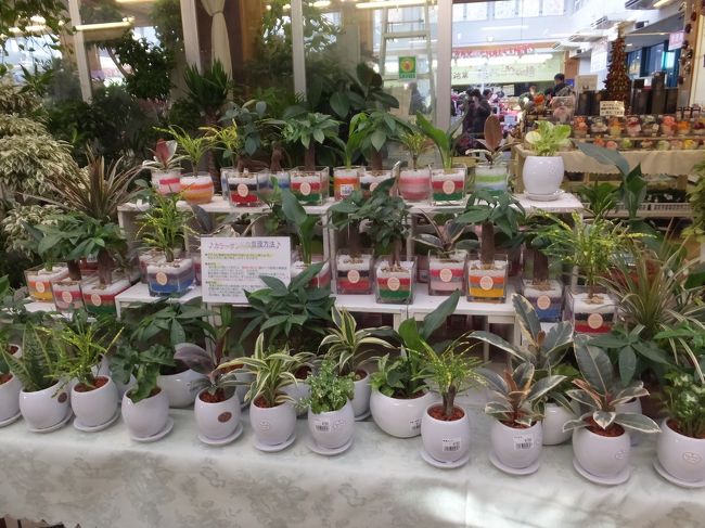 入場券を購入し中に入ると、まずお土産屋さんやお花屋さんがあります。<br /><br />