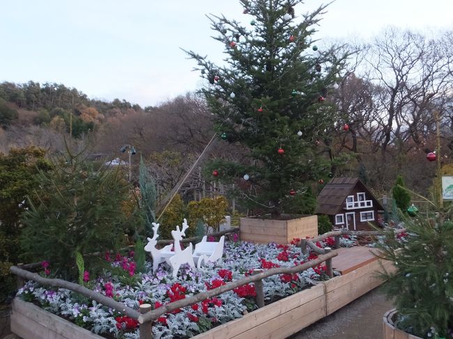 おみやげやさんをさら〜っと見て、外に出ます。<br /><br />まだまだ明るいです。