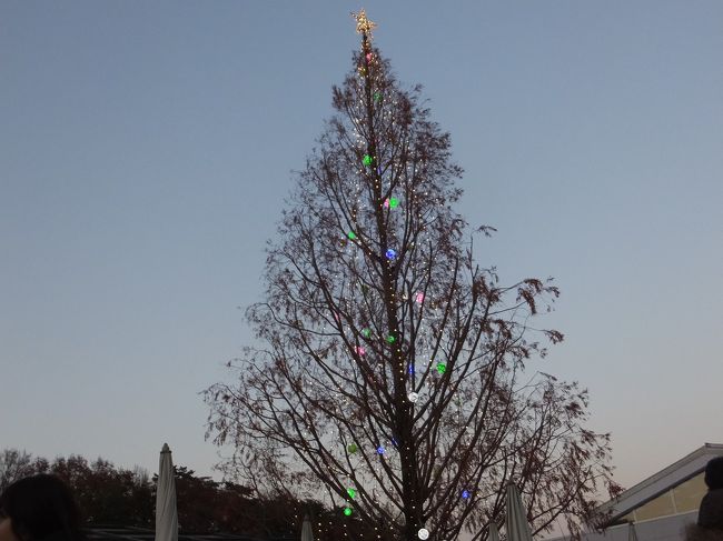 大きなツリーももう少しでキレイになります。