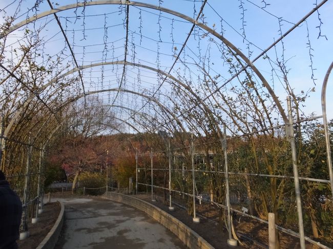 昼＆夜の比較！<br />このトンネルが・・・