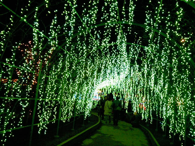 こうなります☆