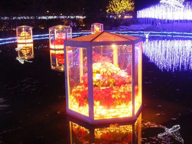 すごくステキに(*^-^*)