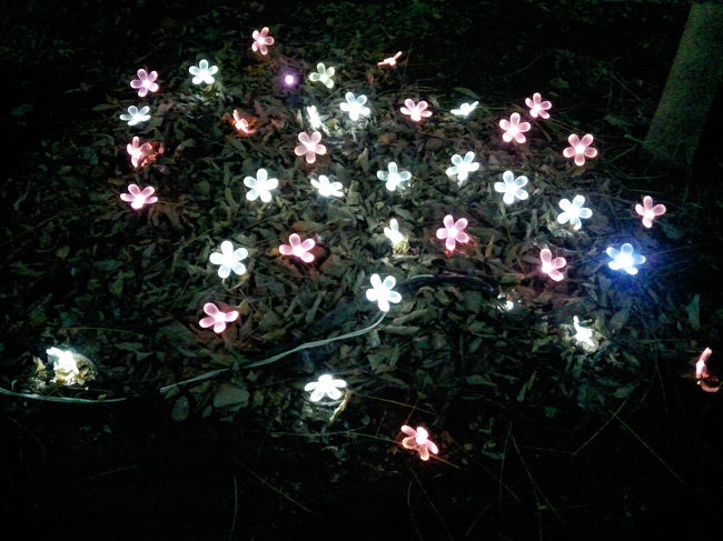 下にもイルミネーション♪