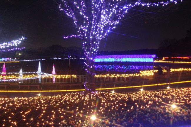 14 年末に行ったイルミネーション 長居植物園 和歌山日赤病院 住吉 平野 大阪 の旅行記 ブログ By ターちゃんさん フォートラベル 14 年末に行ったイルミネーション 長居植物園 和歌山日赤病院 住吉 平野 大阪 の旅行記 ブログ By ターちゃんさん フォートラベル