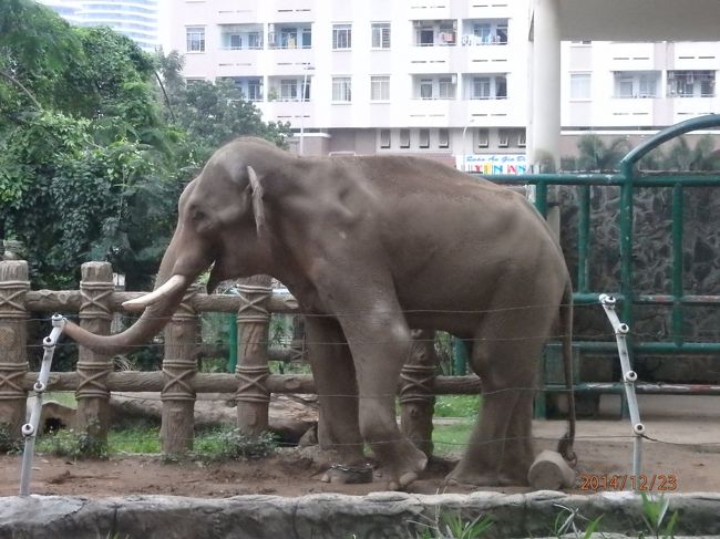 サイゴン動植物園