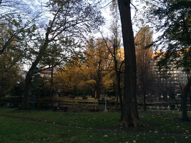 <br />　翌朝、いつまでも寝ている夫を置いて、一人で、北大をぶらぶら<br /><br />　こんなに環境の良い学び舎で、お勉強できる若者は、幸せですね