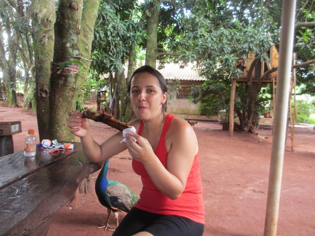 おっと、姪っ子ちゃん<br />　イキナリ骨に齧り付いて<br /><br />一番美味しいとこを知ってるね〜<br />　さすが牧場育ち！