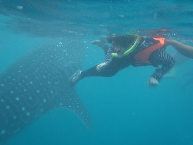 with　ｼﾞﾝﾍﾞｴ♡