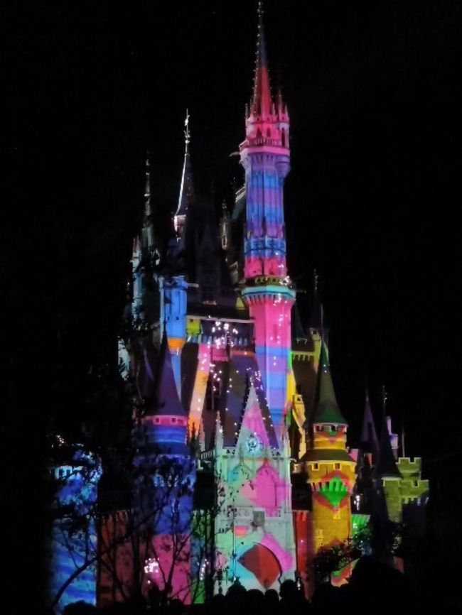 のんびりディズニーランド 涙のディズニー 東京ディズニーリゾート 千葉県 の旅行記 ブログ By Umenomiさん フォートラベル