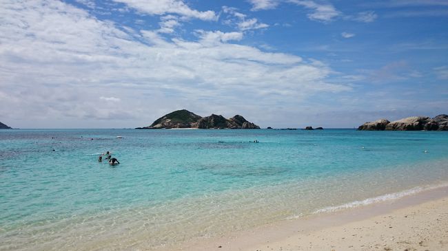 シュノーケルすると魚がいっぱい！&lt;°)))彡