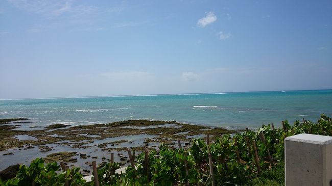 今後開発されるよう