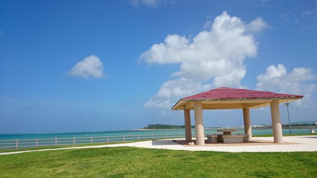 こんな公園がある場所に住みたい♪