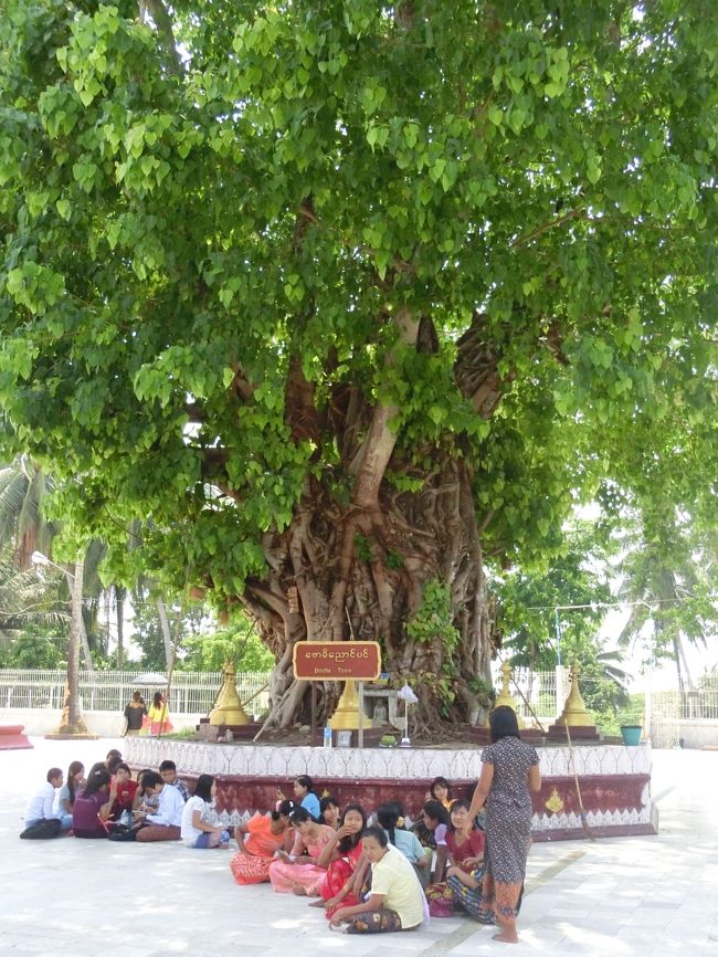 訪れていたミャンマーの学生たち。
