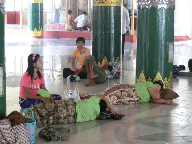 冷たい石の上で昼寝をする姿も。