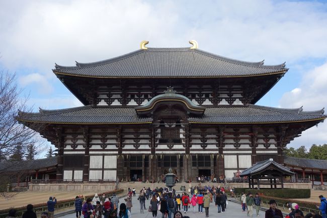 三が日は、普段よりも空いているように思う。<br />初詣といったら皆、春日大社ですから・・・。