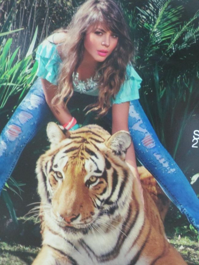 女の子よりトラの方がええかも