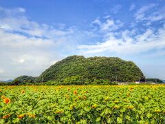 笠岡ベイファーム　元は離島だった片島　笠岡湾干拓地　ベイファーム