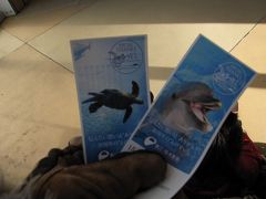 新江ノ島水族館チケット。ここは3歳から有料なので、娘も生意気に入場料を払う。
ちなみに年間パスは当日券2日分の料金に満たなかった。
近所の人はほぼ持っているんだろうな。
