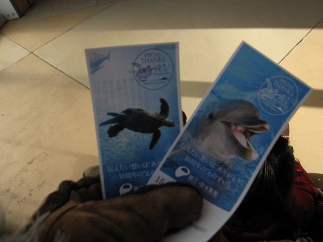 新江ノ島水族館でクラゲを見る 藤沢 江ノ島 神奈川県 の旅行記 ブログ By Honeyitalyさん フォートラベル 新江ノ島水族館でクラゲを見る 藤沢 江ノ島 神奈川県 の旅行記 ブログ By Honeyitalyさん フォートラベル