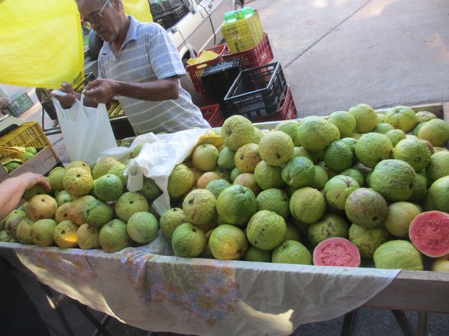 ゴイアバ＠グアバ