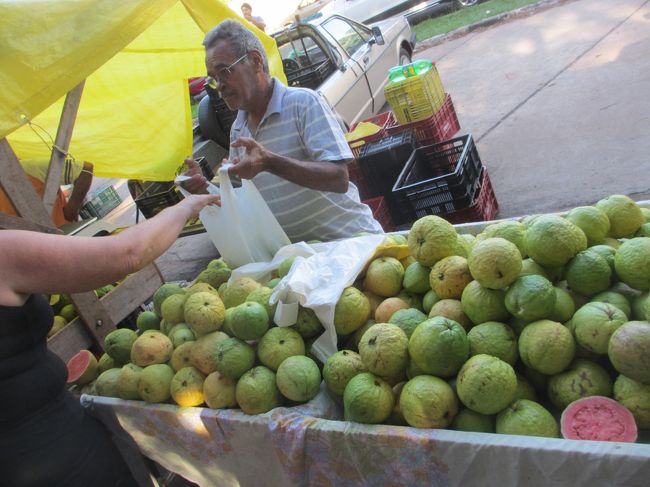 これでジャムを作ったら最高！
