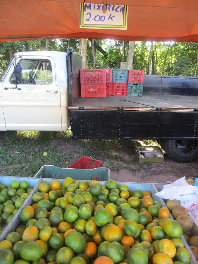 ミシリカ＠日本のミカン