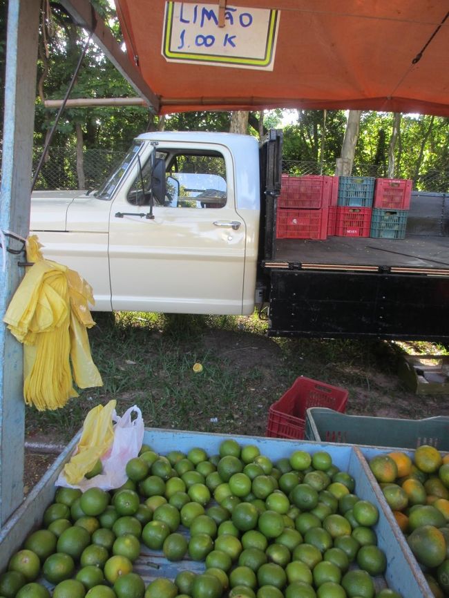 リモン・タイチ<br />　小さいけどジュースが凄く多いレモン<br />なんで日本に無いのか？、と思う<br />　ライムとは全然違って旨い！