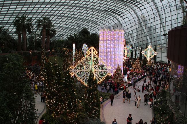 ガーデンズ　バイ　ザ　ベイ。<br />夜行くとやはりきれいですね。<br />オススメです。