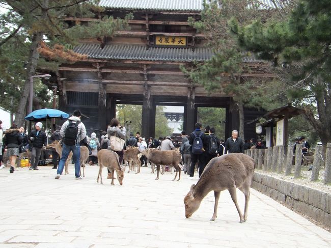 そう、★東大寺★にやってきました。<br />★南大門★の前には観光客のほか、<br />修学旅行生がわっさわさ。<br />はしゃぐ生徒達をまとめる先生が大変そう…