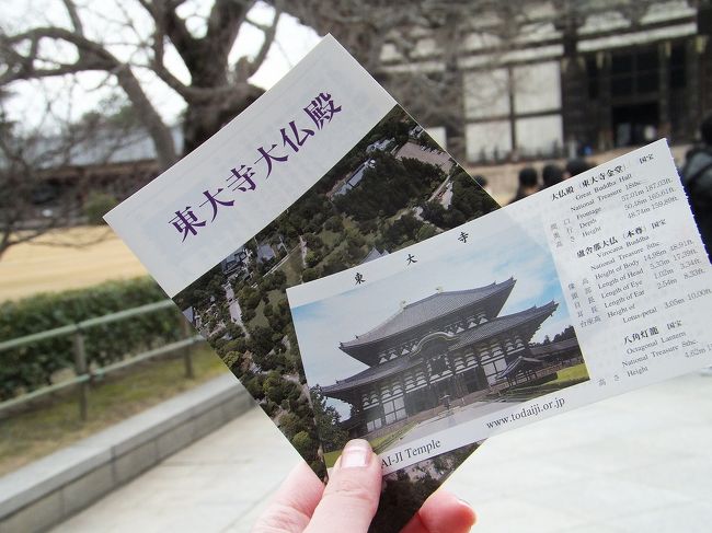 14:45<br />鹿に戯れたい気持ちを抑えて、<br />急ぎ足で、★東大寺 大仏殿★へ来ました。<br />チケット持って、いざ大仏殿内へ。