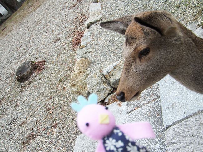 ち、近い。<br />食べられないですよー