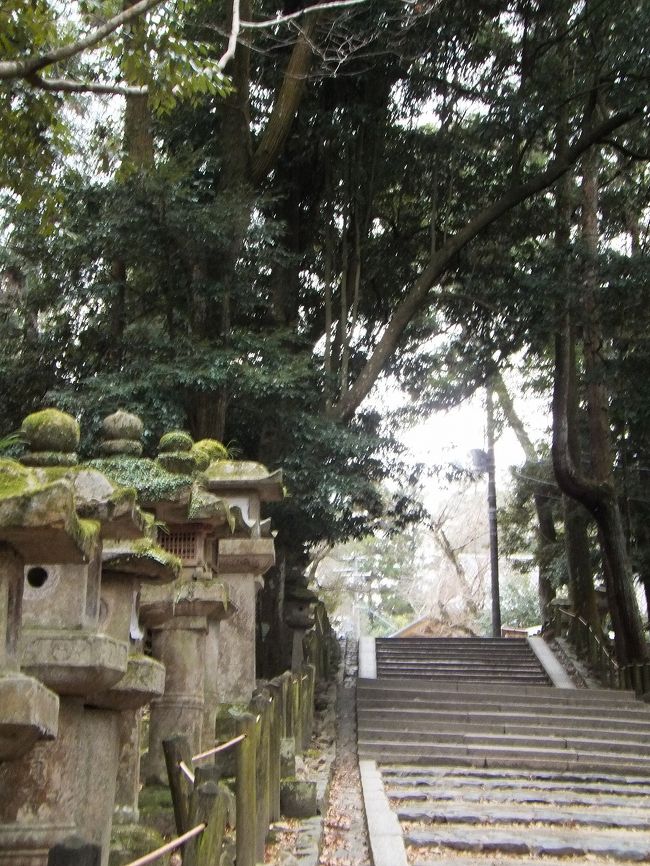 それでも、どんどん歩きますよー。<br />急げ、急げー。