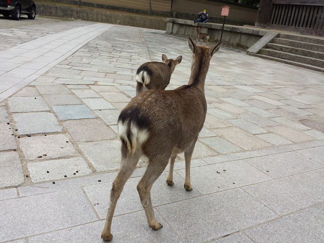 おけつ、かわいい(。-∀-)<br />癒されますの〜