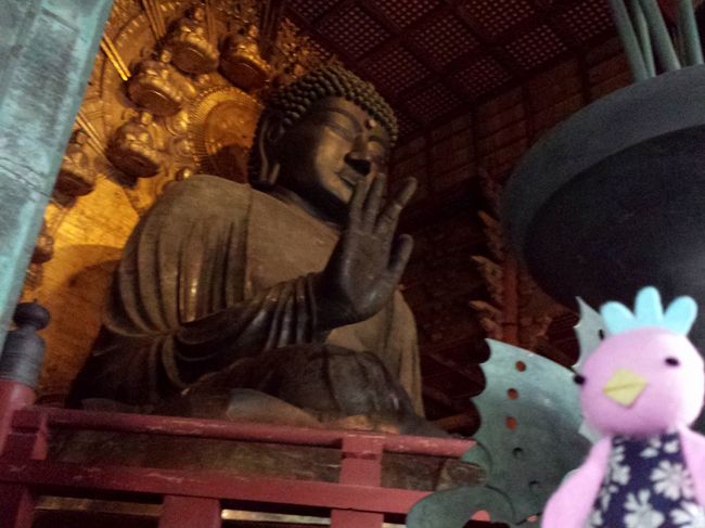 お参りしたあと、 しばらく眺めていました。<br />さすが迫力が違う。<br />現存の大仏は像の高さ約14.7ｍ、基壇の周囲70ｍ。<br />何度見てもすごいなぁって思う。