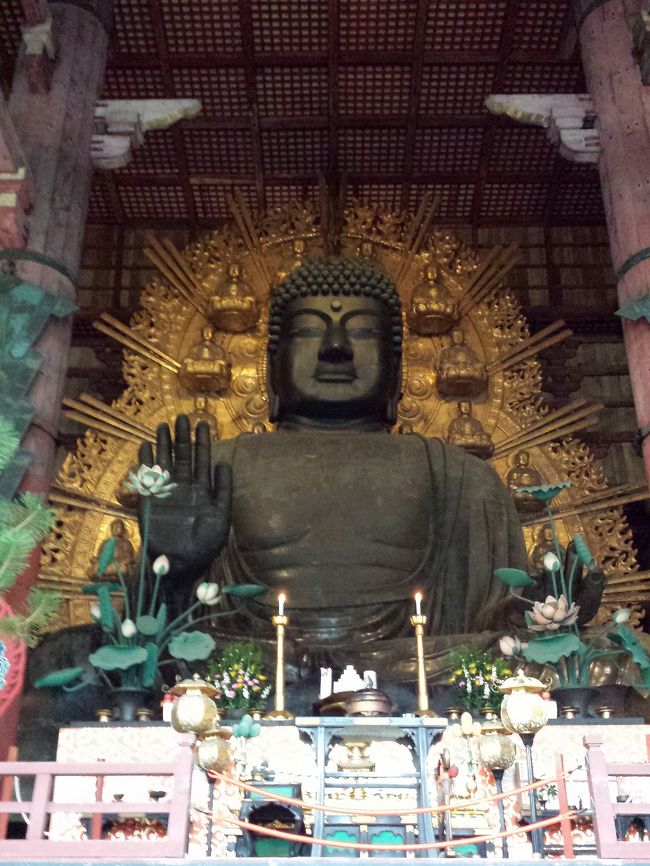 どどーーーん<br />と、大仏様。<br /><br />★東大寺盧舎那仏像★<br />聖武天皇の発願で天平17年（745年）に制作が開始され、天平勝宝4年（752年）に開眼供養会（かいげんくようえ、魂入れの儀式）が行われた。その後、中世、近世に焼損したため大部分が補作されており、当初に制作された部分で現在まで残るのはごく一部である。 「銅造盧舎那仏坐像」の名で彫刻部門の国宝に指定されている。<br />=Wikipediaより=<br />