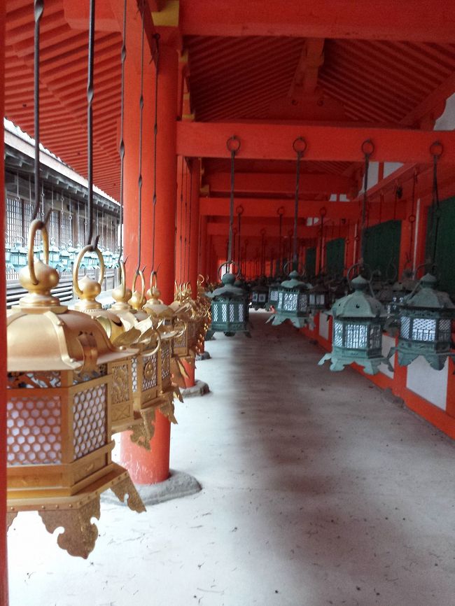 ずらーっと並ぶ灯籠