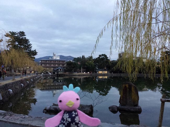 17:00<br />★猿沢池★