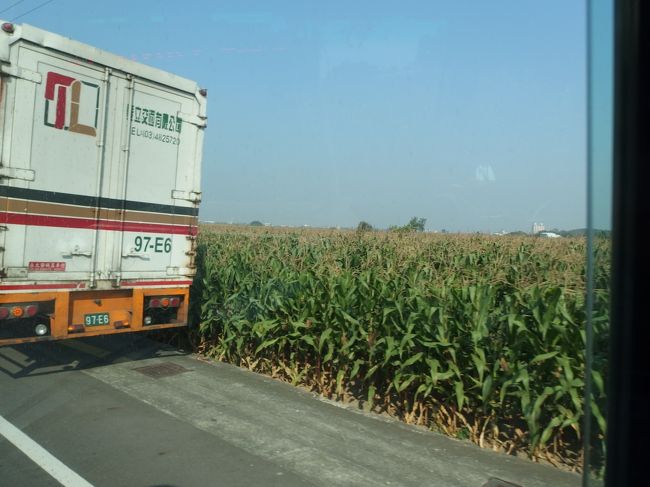 見渡す限りのトウモロコシ畑。<br /><br />バスは見通しの良い区間は80〜90km走行・・・一般道なんだけどなぁ。