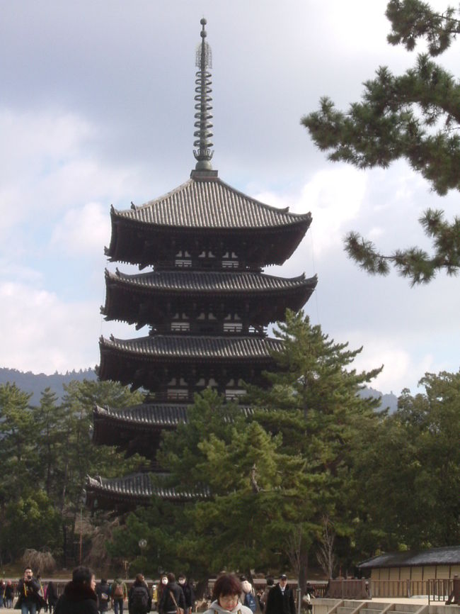 興福寺　五重塔