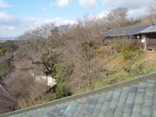 二月堂<br /><br />桜の季節には、必ずこの角度で一枚は写真を撮ります。やはり桜の花びらがなければ、様になりませんね。