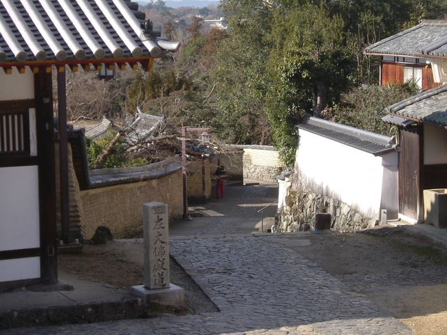 二月堂から大仏殿への道<br /><br />土塀を眺めながら歩くのも乙なものだが、本日は左に曲がり、新公会堂へと進む。