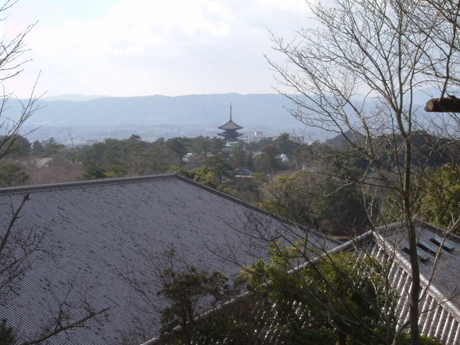 二月堂から新公会堂への途中<br /><br />興福寺の五重塔が見える。手前の建物は、シルクロード交流館。