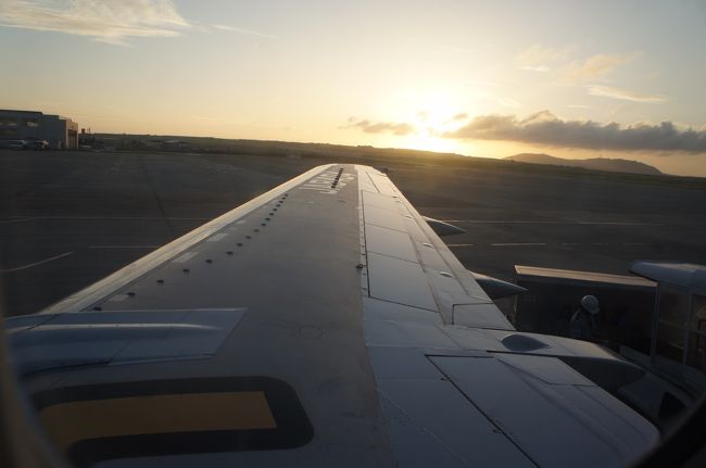 ここまでお付き合いくださってありがとうございました<br /><br />続きが気になる方は那覇編をご覧ください<br />http://4travel.jp/travelogue/10976357